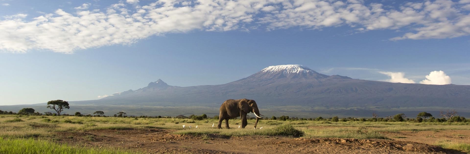 3 Day Best of the Slope of Kilimanjaro Amboseli
