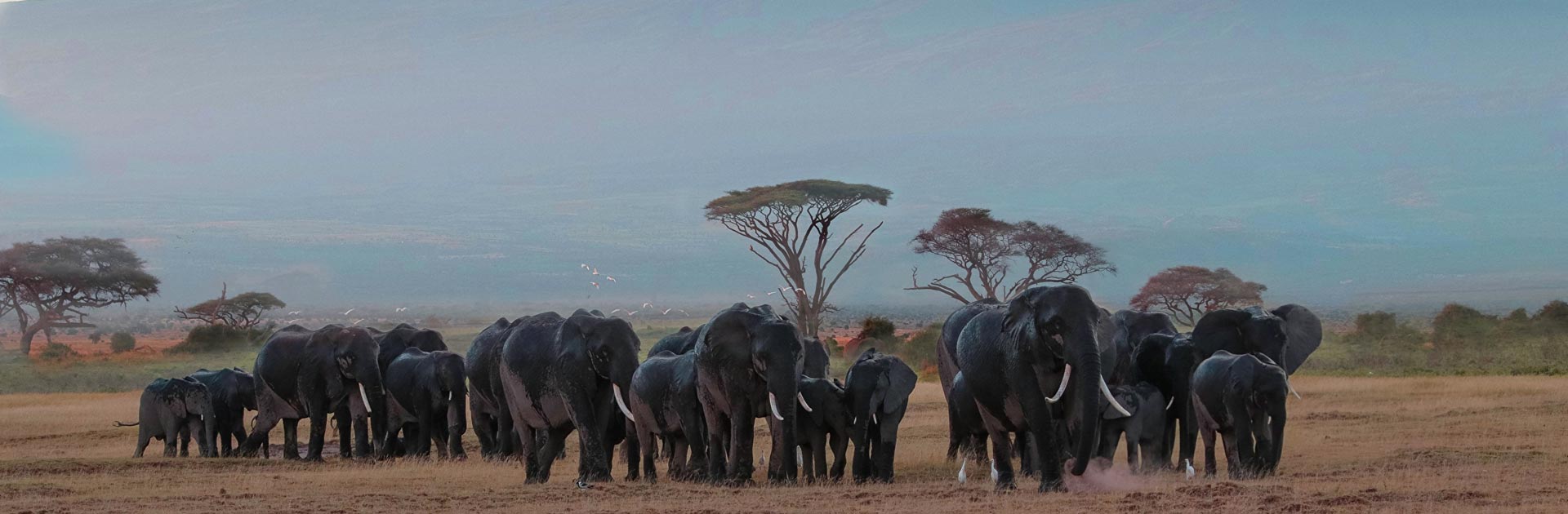 4 Days Kenya Finest Safari